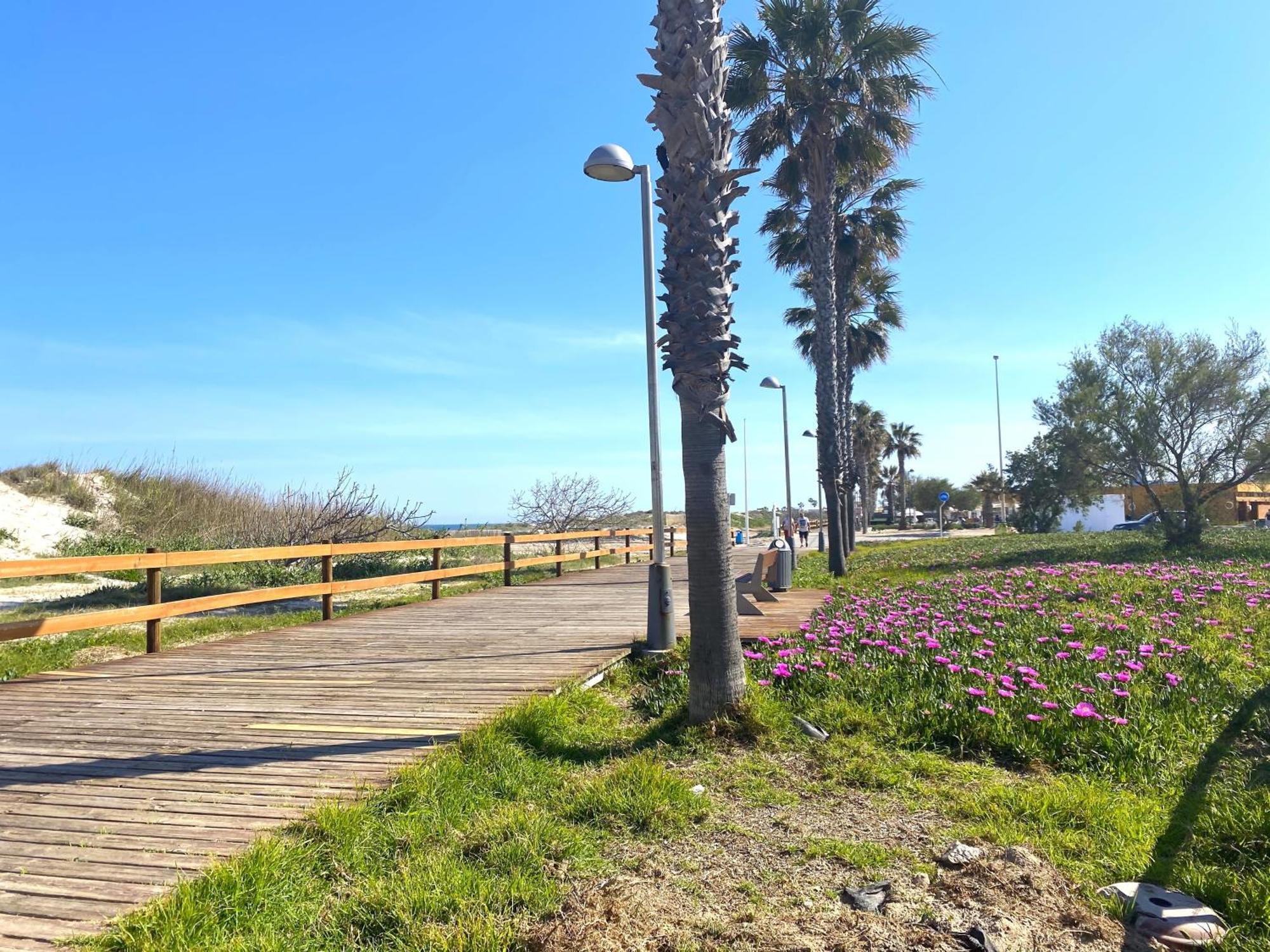 Precioso Apartamento A Tan Solo 300 M De La Playa Pilar de la Horadada Eksteriør billede